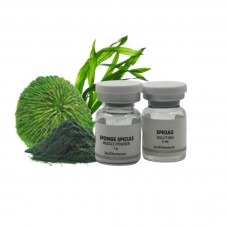 Спикулы губки (макросклеры) Jeu’Demeure Sponge Spicule 3 шт Спикулы губки (макросклеры) Jeu’Demeure Sponge Spicule 3 шт